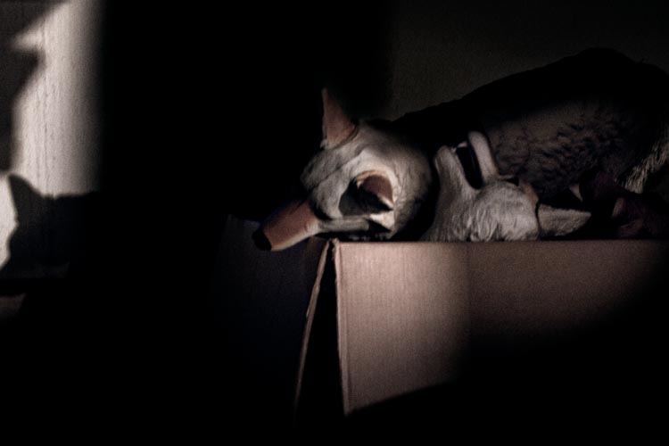 On Myth and Magic No. 4: The Hunted, 2009