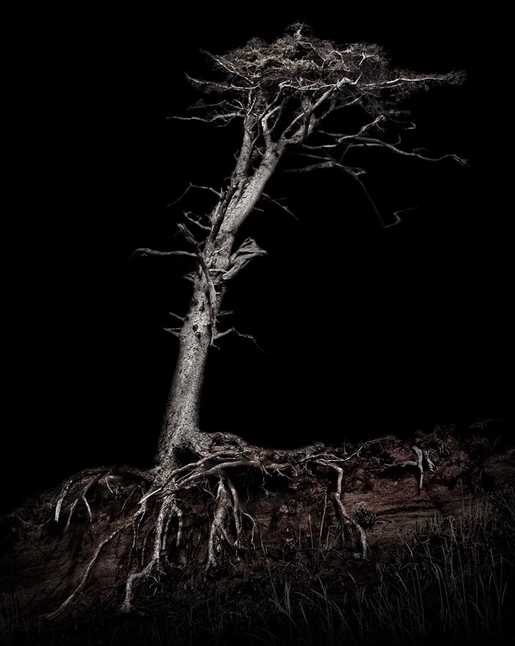 On Myth and Magic No. 7: Waldgeist, 2009