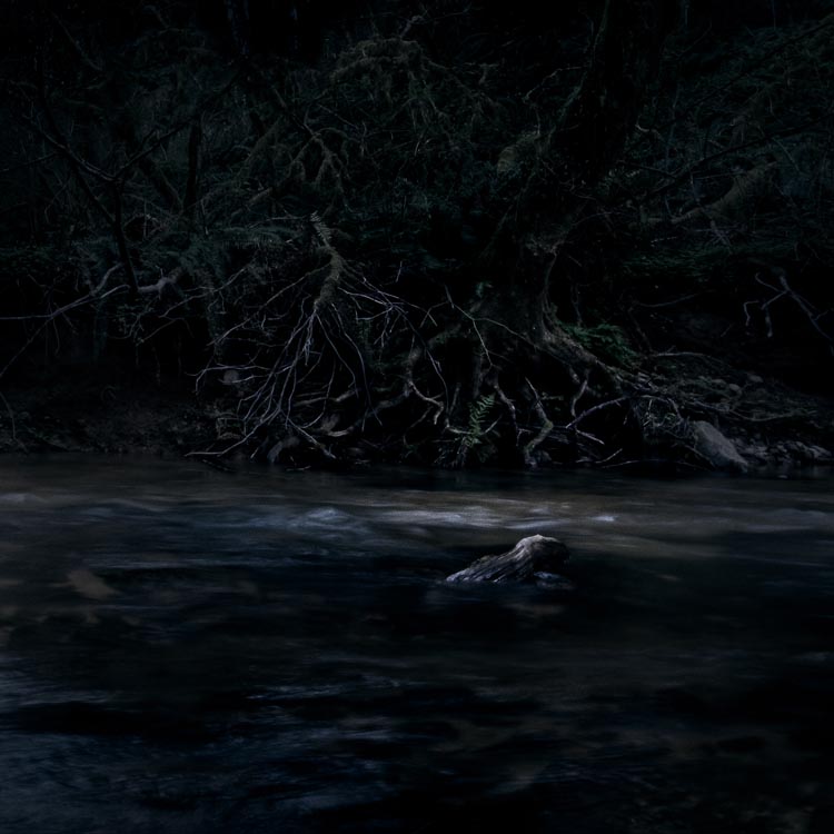 On Myth and Magic No. 9: The Shades, 2009